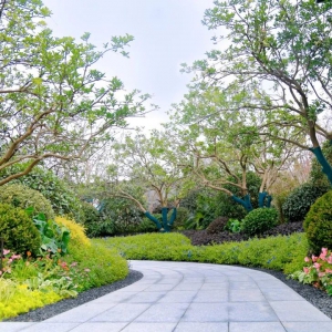 別墅庭院設(shè)計(jì)的后期如何養(yǎng)護(hù)一言不发（一句话都不说）？